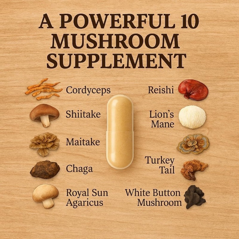 Грибной комплекс 10 в 1, содер – обзор и цена Lion Mane Mushroom