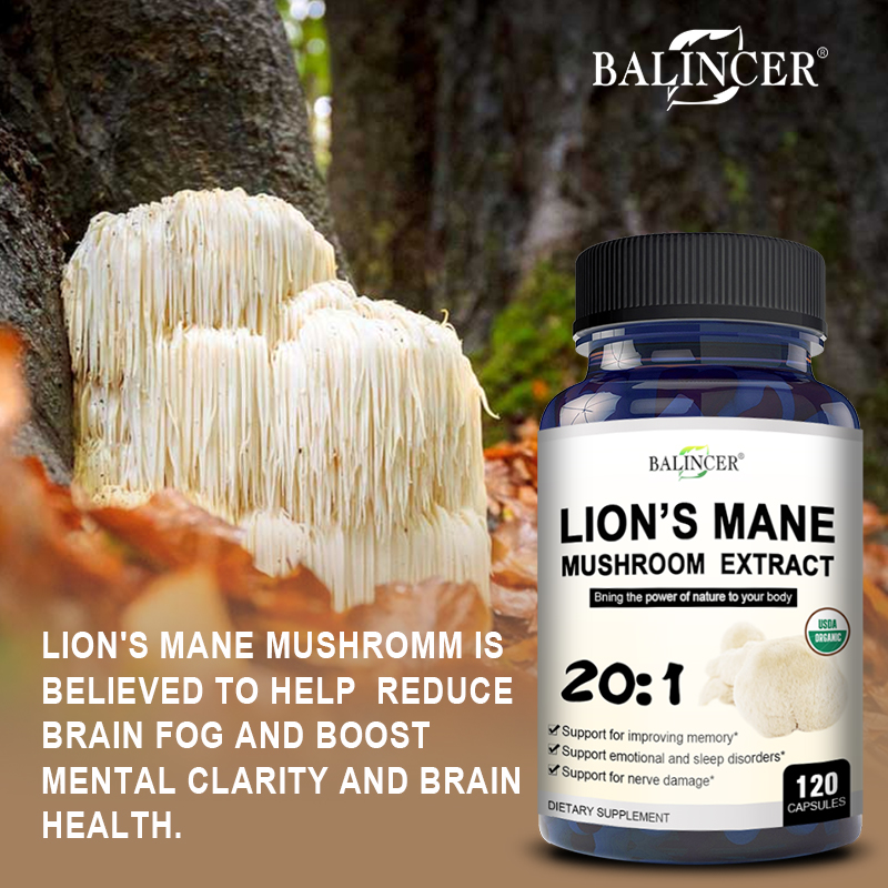Lion's Mane - Nootropic Brain  – обзор и цена Lion Mane Mushroom